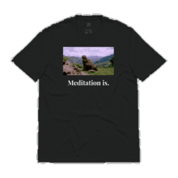 Pir Vilayat 'Meditation is